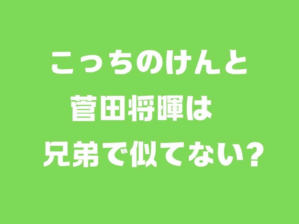 こっちのけんと　菅田将暉は兄弟で似てない？